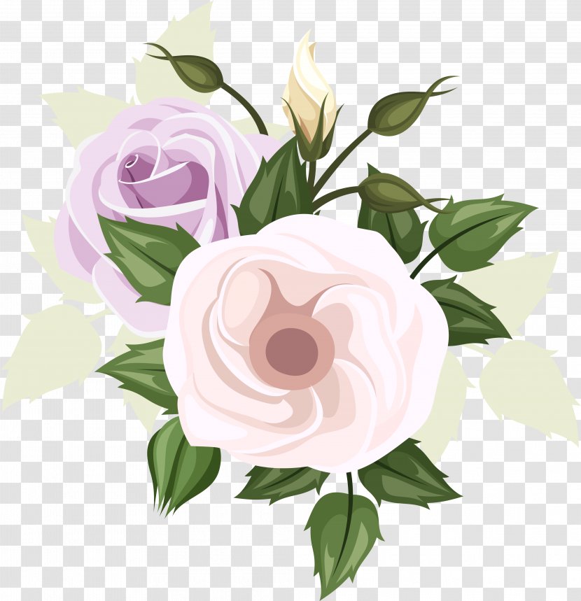Vector Graphics Illustration Sticker Rose - Cut Flowers Transparent PNG