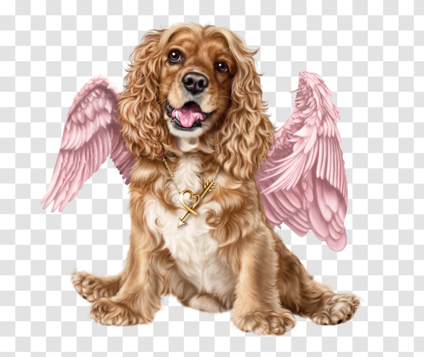 American Cocker Spaniel English Puppy Sussex Dog Breed Transparent PNG