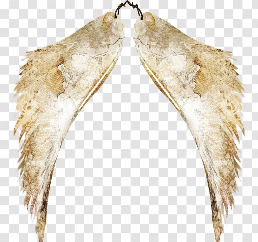 Drawing Clip Art - Painting - Fake Wings Transparent PNG