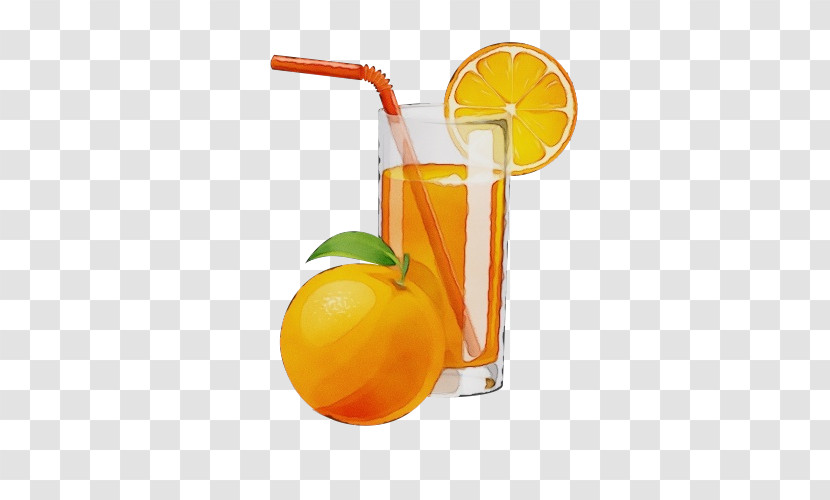 Orange Transparent PNG