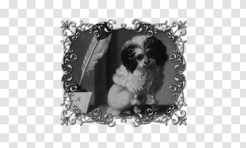 Dog Breed Poodle Puppy Maltese Shih Tzu - Monochrome Transparent PNG