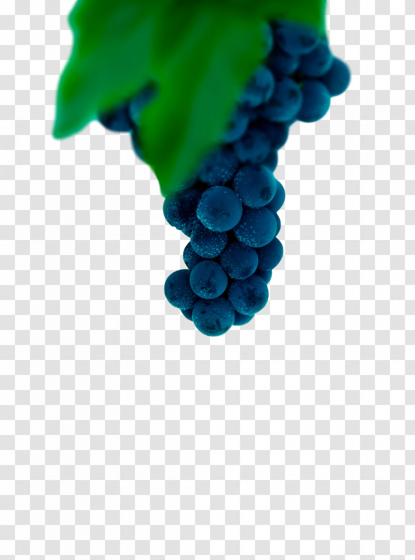 Grape Grapevines Cobalt Blue Fruit Turquoise Transparent PNG