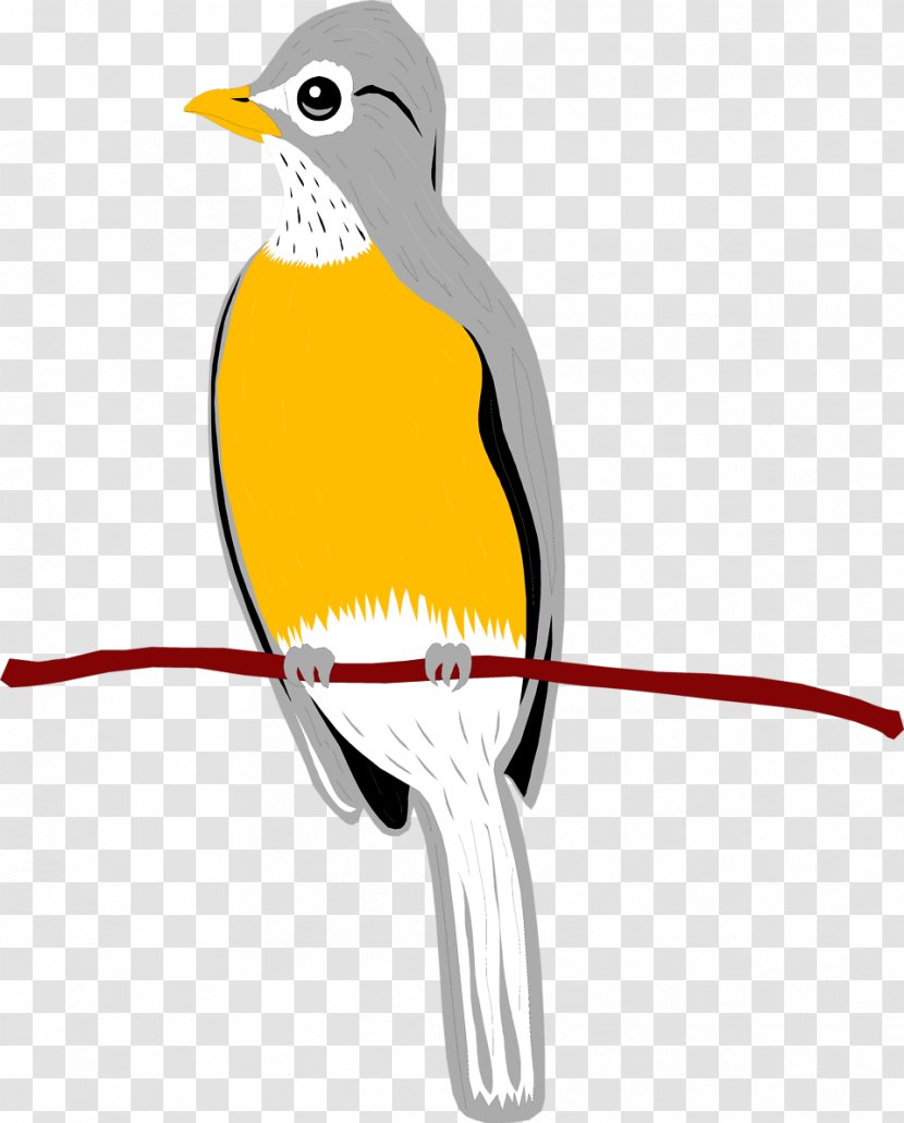 Bird Wing Penguin Clip Art - Animal - Robin Transparent PNG