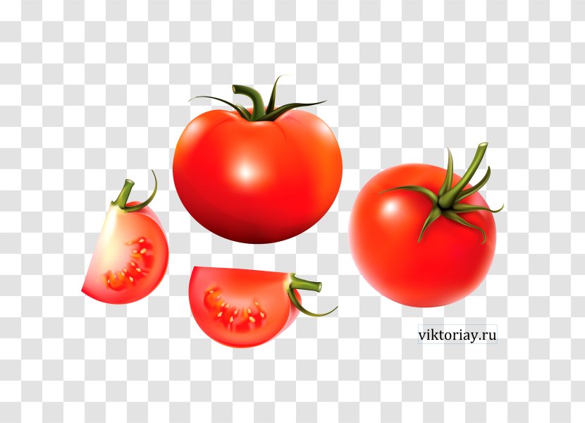 Plum Tomato Bush Cherry Vegetable Food Transparent PNG