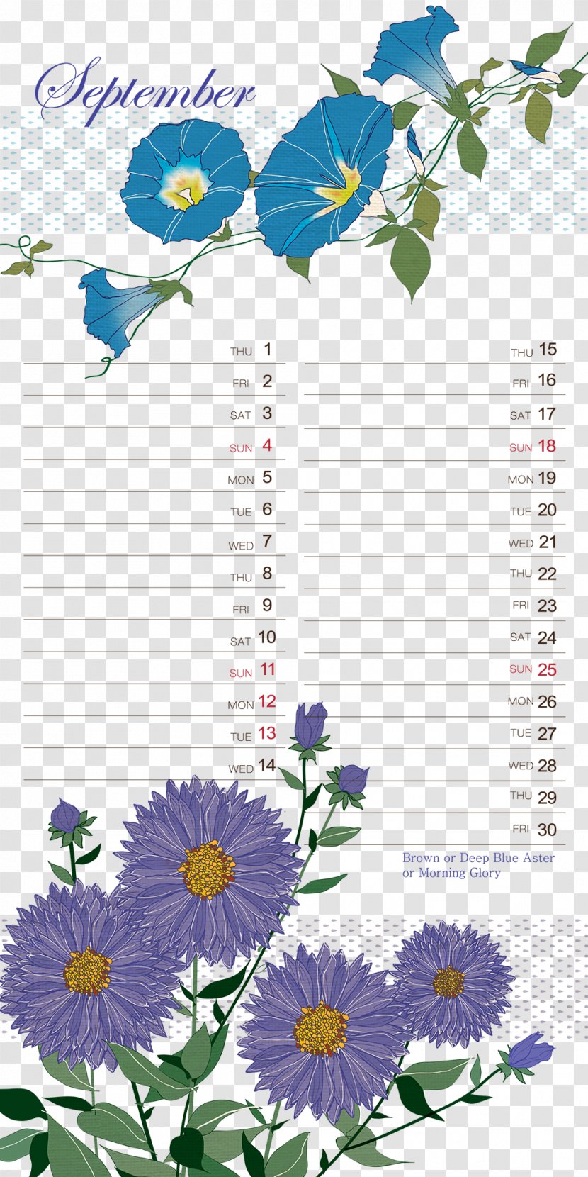 Poster Clip Art - Creative Arts - Morning Glory Background Pattern Template Calendar Transparent PNG