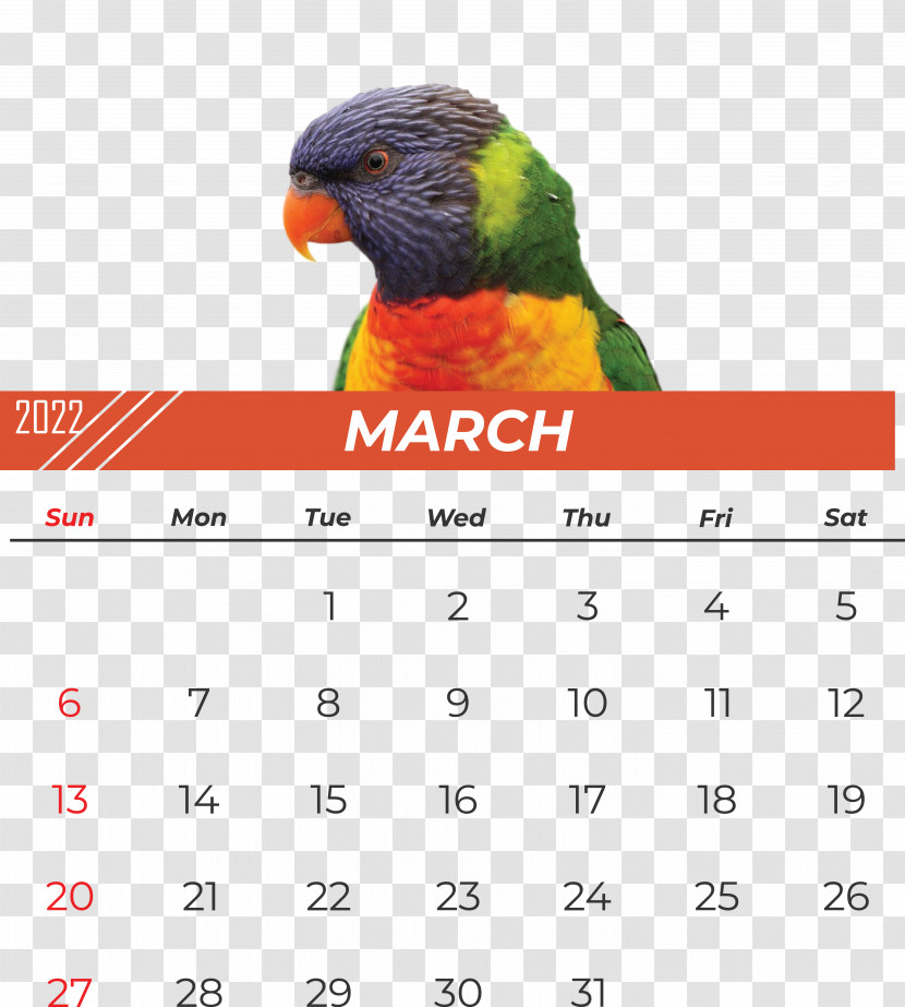 Parrots Beak Calendar Font Meter Transparent PNG