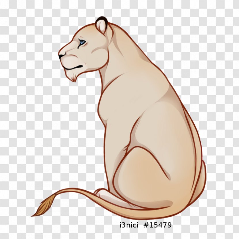 Whiskers Cat Snout Canidae Rodent - Puma Transparent PNG