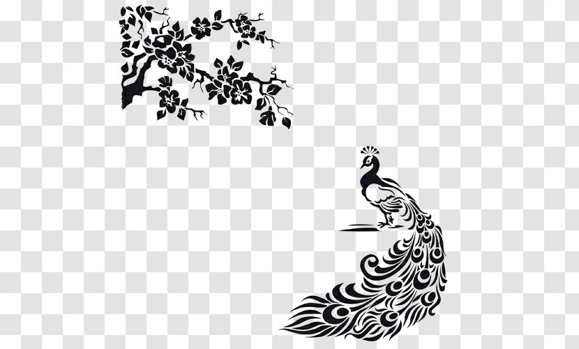 Peafowl Drawing Vector Graphics Line Art Clip - Leaf - Feather Transparent PNG