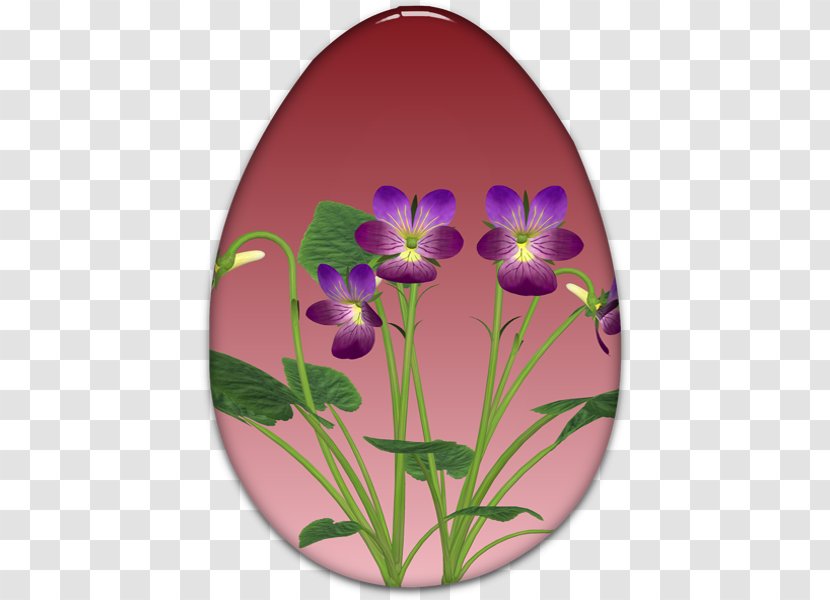 Pansy Violet - Flower - Egg Tube Transparent PNG