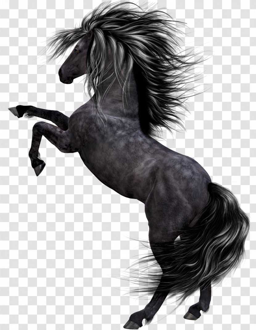 Tutorial - Tail - Dark Horse Transparent PNG