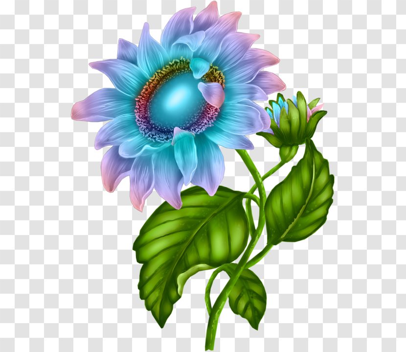 Flower Desktop Wallpaper Clip Art - Aster - Watercolor Sunflowers Transparent PNG