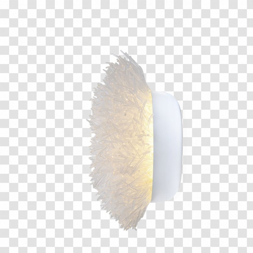 Brush - Anemone Transparent PNG