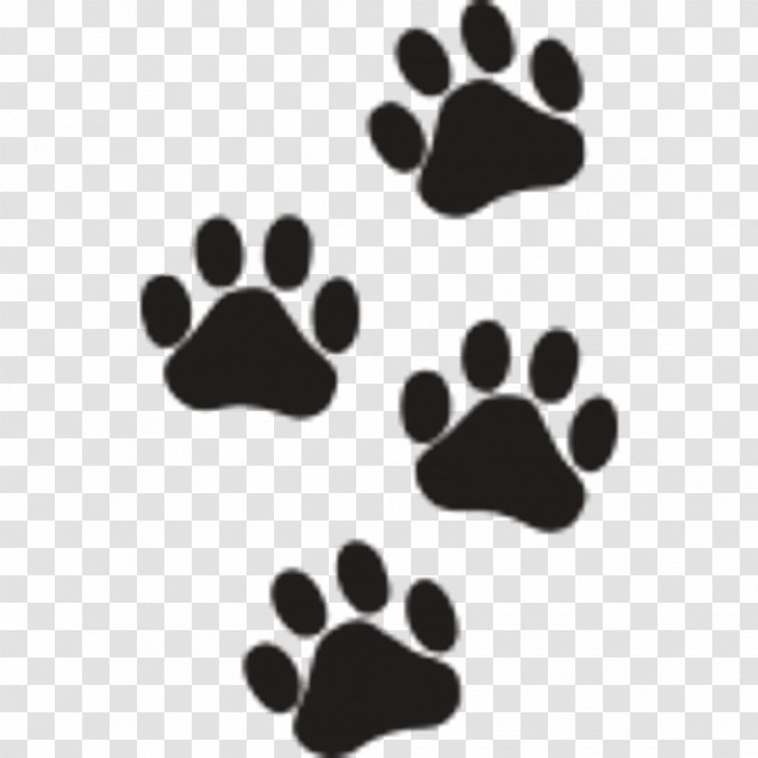 Paw Cat Dog Bear Tiger - Animal Transparent PNG