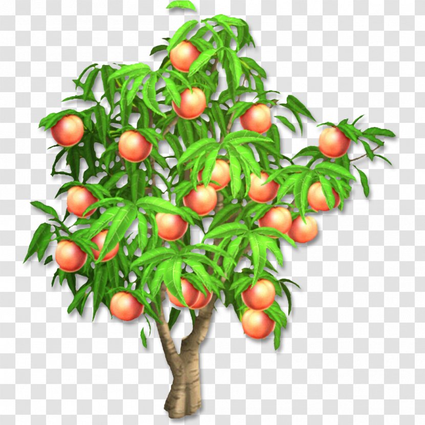 Hay Day Peach Fruit Tree Harvest - Vegetable - Apricot Transparent PNG