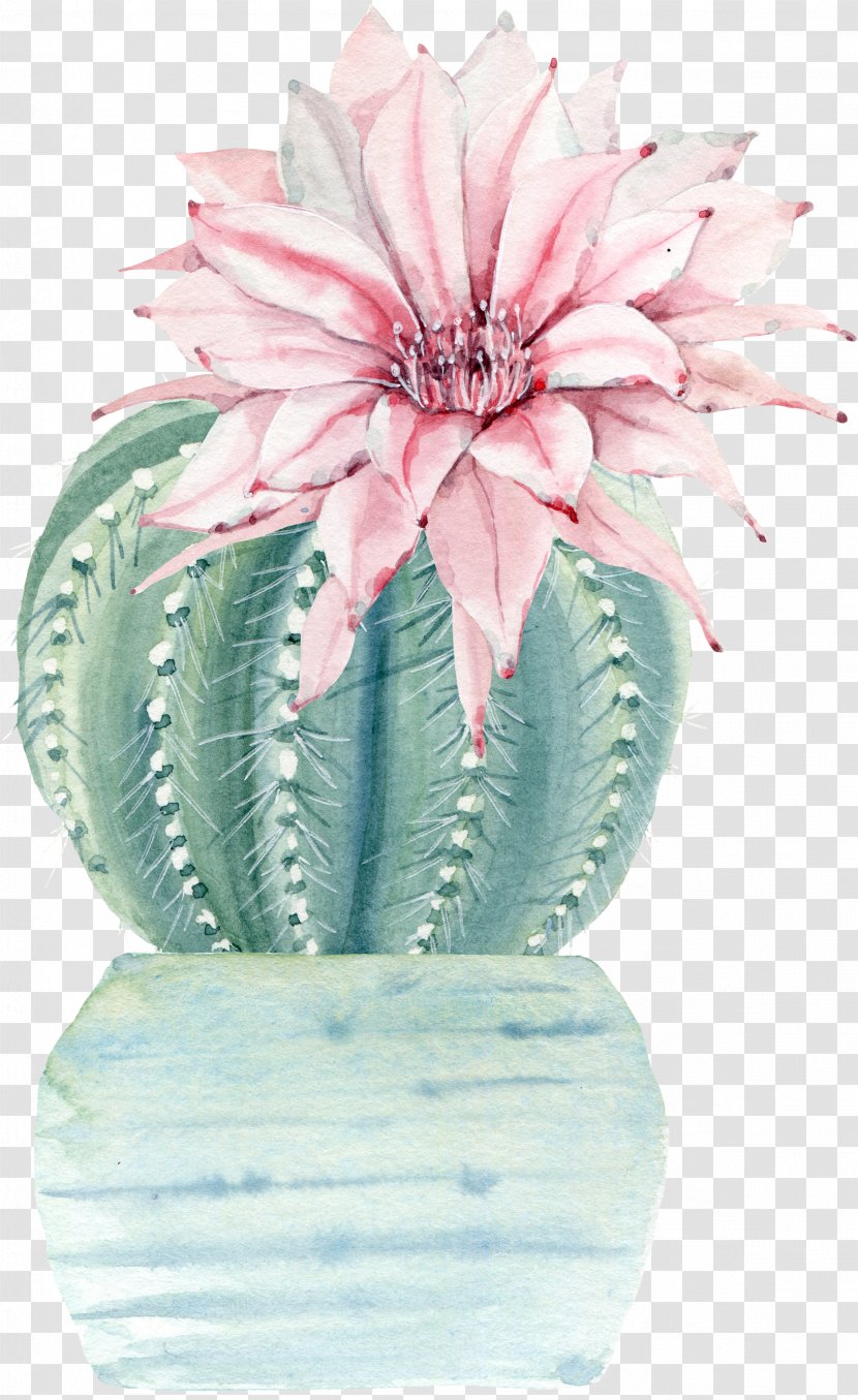 Watercolor Painting Drawing Art Illustration - Petal - Cactus Transparent PNG