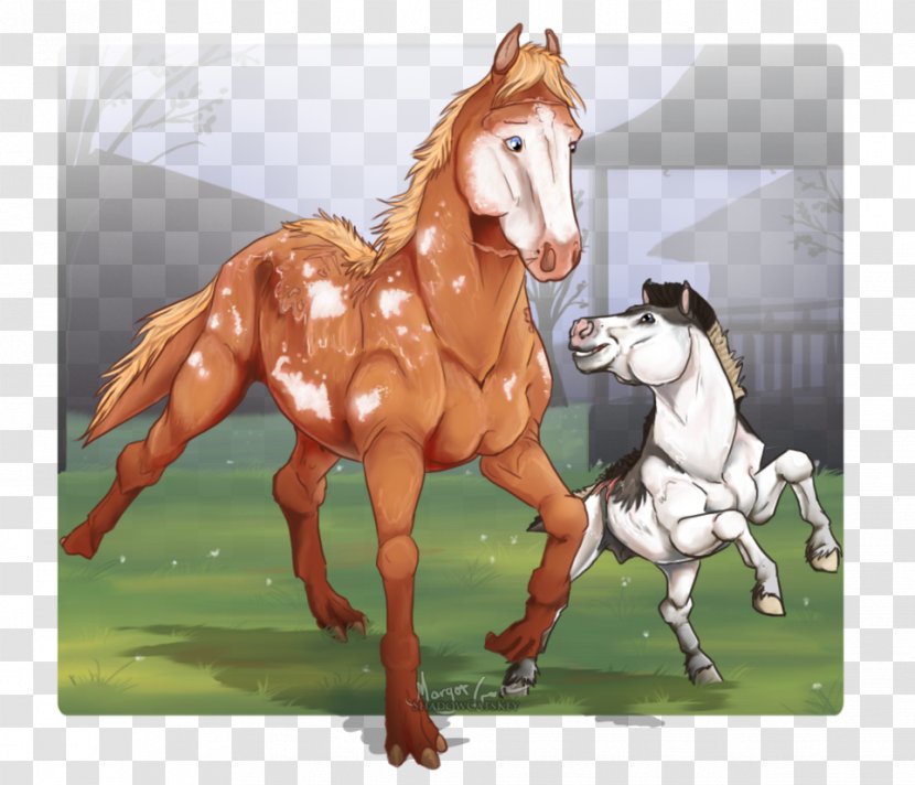 Mustang Pony Drawing Mare Stallion - Hand Painted Grass Transparent PNG