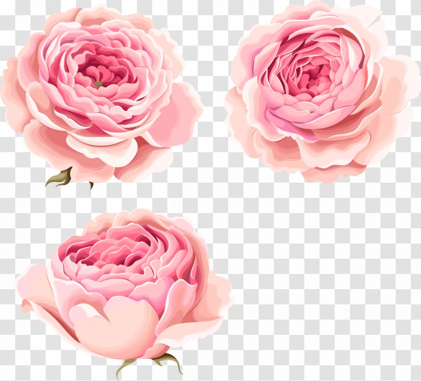 Hand-painted Beautiful Pink Peony Flowers - Floristry - Rose Transparent PNG