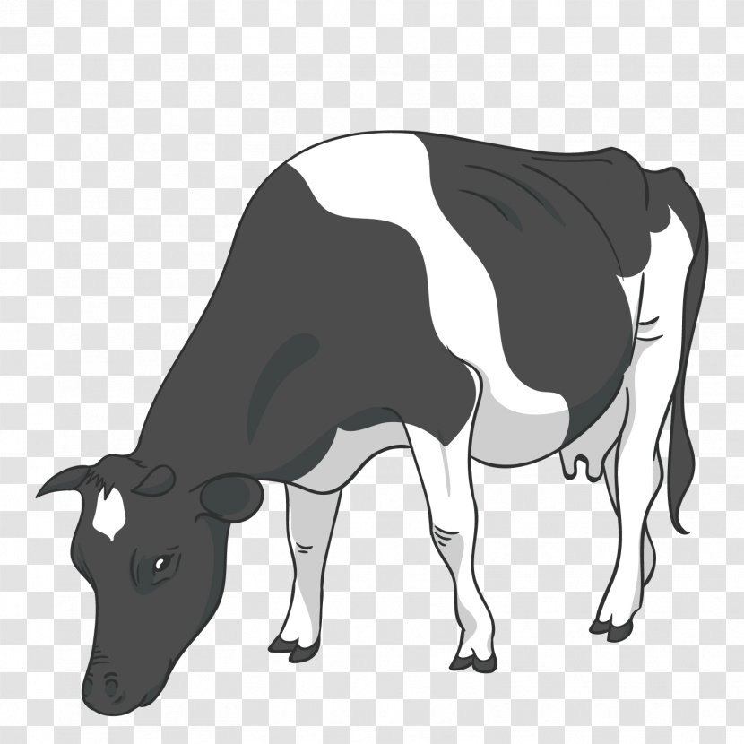 Cattle Drawing - Vector Black Cow Transparent PNG