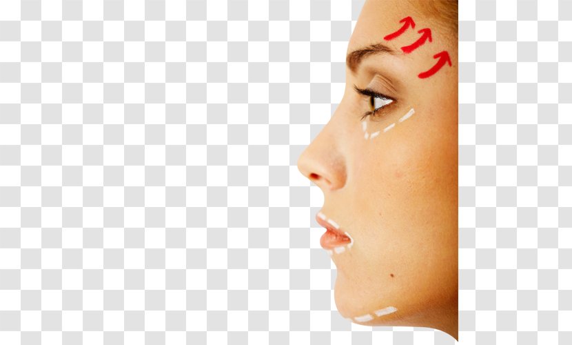 Face Surgery Nose Stock Photography Rhinoplasty - Beauty - Woman Transparent PNG
