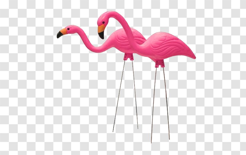 Pink Flamingo - Garden Ornament - Beak Animal Figure Transparent PNG
