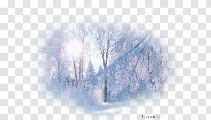 Snow Desktop Wallpaper Winter - Stock Photography Transparent PNG