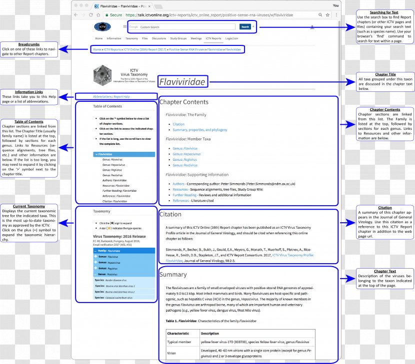 Web Page Line Screenshot Font - Document Transparent PNG
