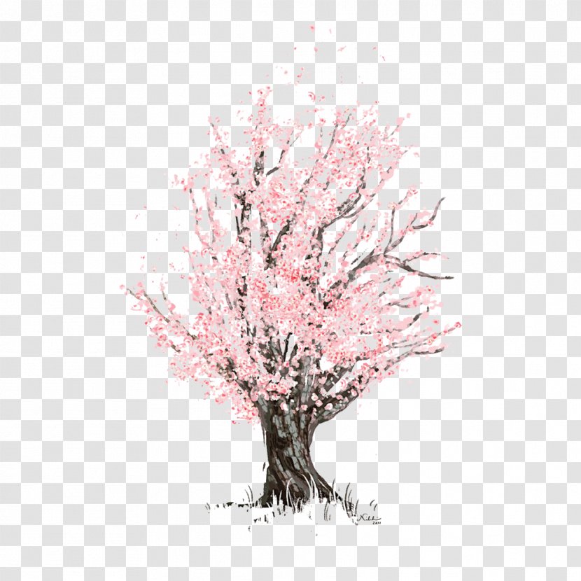 Cherry Blossom Drawing Watercolor Painting - BLOSSOM Transparent PNG