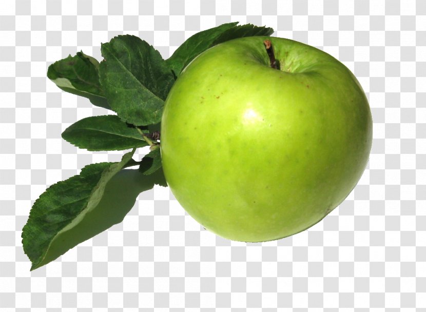 Fraiburgo Apple Health Food Disease - Granny Smith Transparent PNG