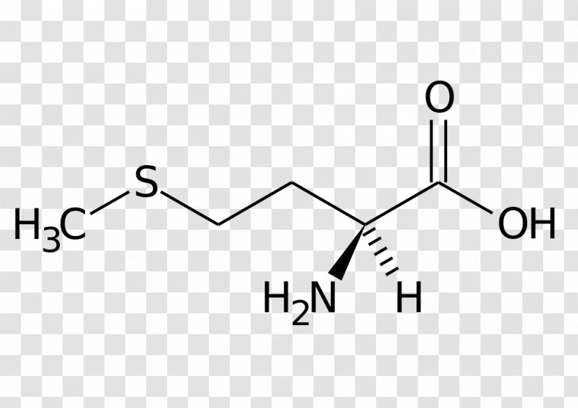 Methionine Essential Amino Acid Dietary Supplement Phenylalanine - Chemical Formula - Science Transparent PNG