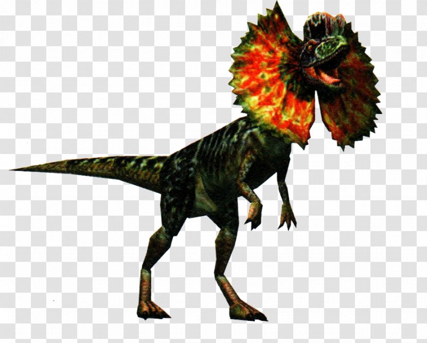 Dilophosaurus Dinosaur Jurassic Park Image Velociraptor - Tyrannosaurus Transparent PNG
