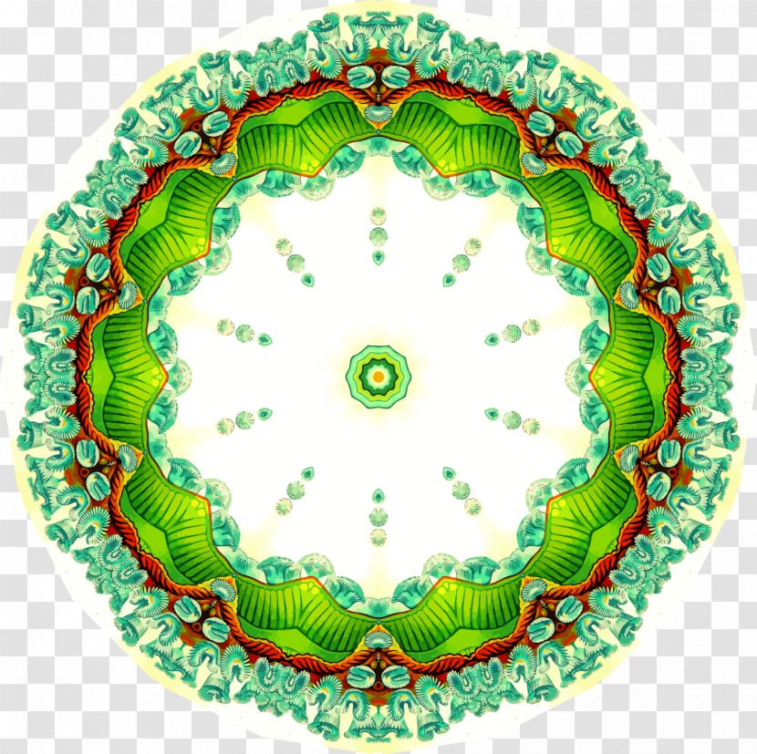 Paint.net - Drawing - Hollow Mandala Transparent PNG