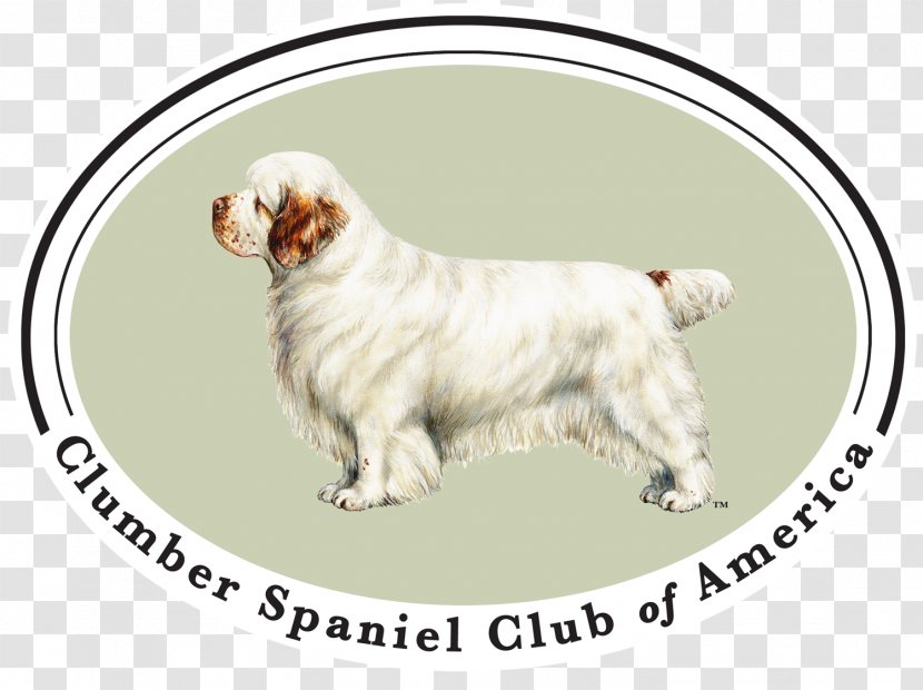 Clumber Spaniel Dog Breed Companion American Cocker - Paw - Mammal Transparent PNG