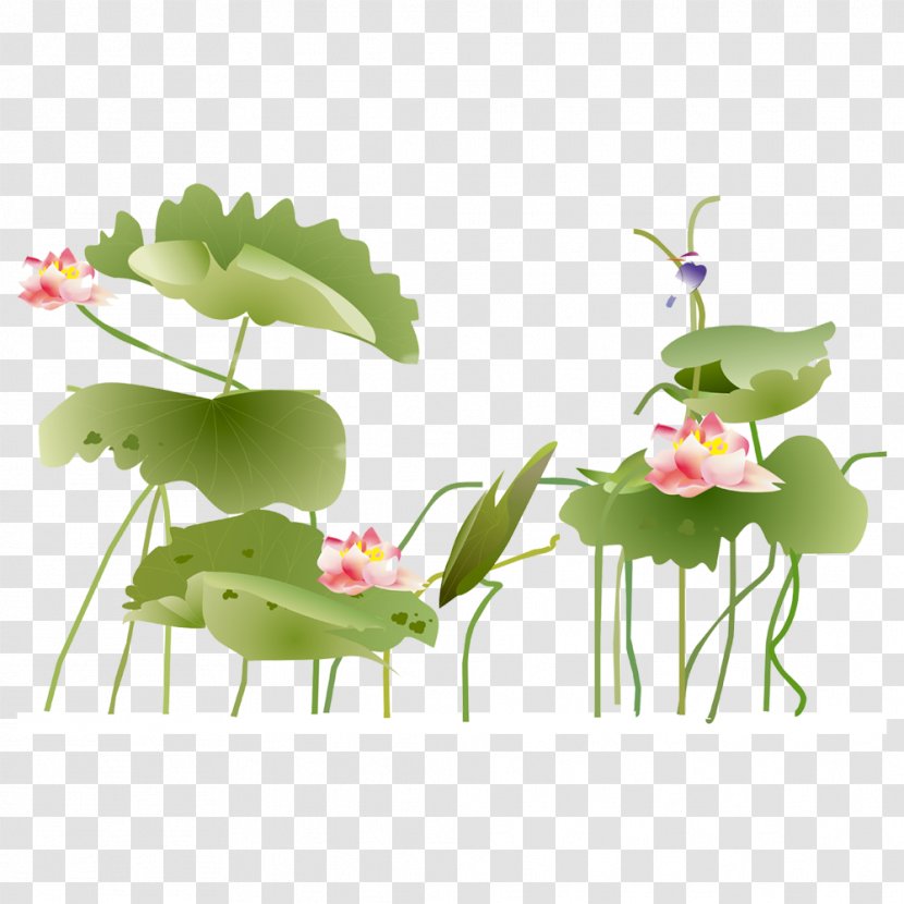 Xuchang Nelumbo Nucifera Icon - Floral Design - Lotus FIG. Transparent PNG