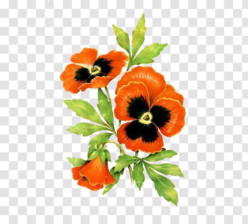 Pansy Flower Paper Clip Art Transparent PNG