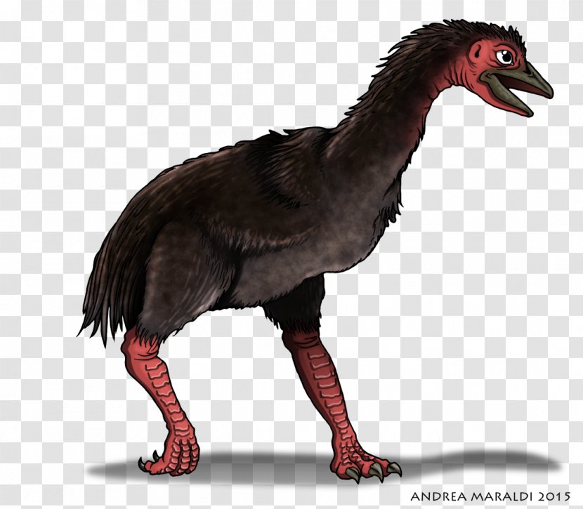 Bird Madagascar Aepyornis Pangaea Earth - Terror Birds - Elefante Transparent PNG