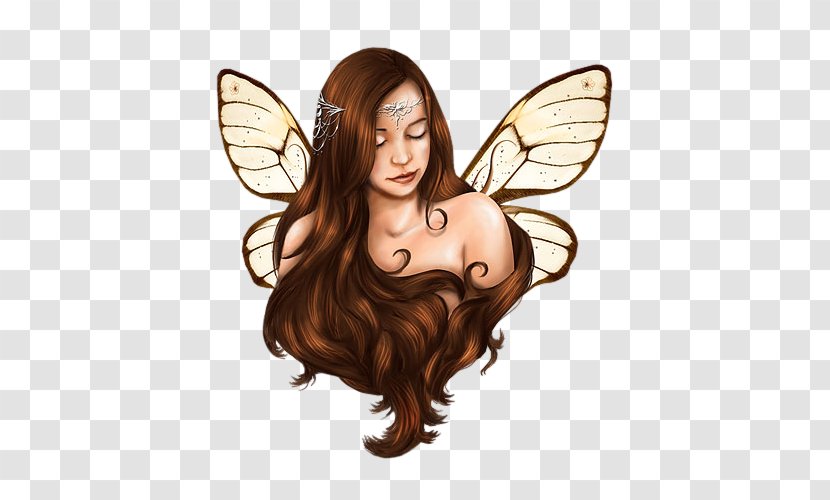 Fairy Elf Flower Fairies Mermaid Transparent PNG