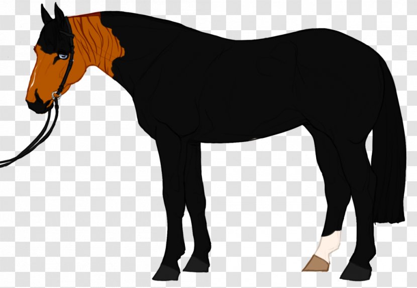 Mustang Pony Mare Stallion Rein - Deviantart Transparent PNG