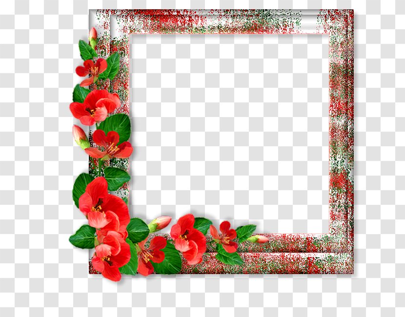 International Workers' Day Picture Frames May Animaatio - Photography - Flower Transparent PNG