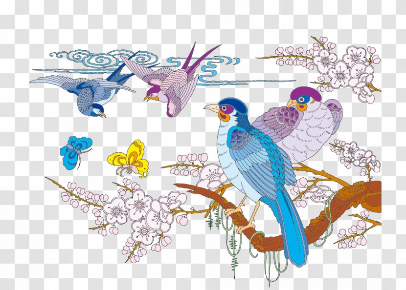 Vector Birds - Feather - Wing Transparent PNG