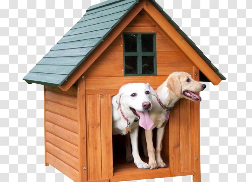 Labrador Retriever Golden Dog Houses Kennel Cat Transparent PNG