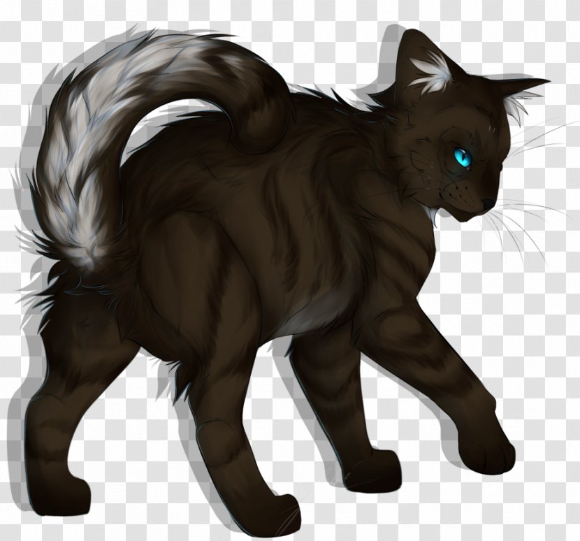 Whiskers Manx Cat Kitten Domestic Short-haired Black Transparent PNG