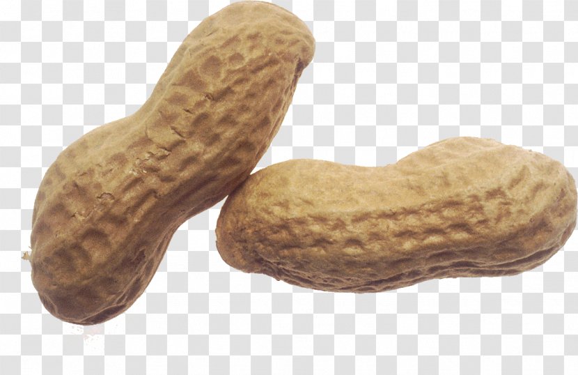 National Peanut Day Clip Art From To Butter - Nut - Roasted Transparent PNG