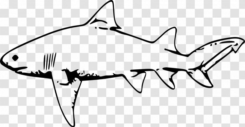 Lemon Shark Drawing Clip Art - Tiger - Fish Tank Transparent PNG