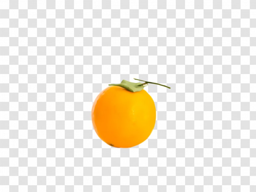 Orange - Yellow - Kumquat Grapefruit Transparent PNG