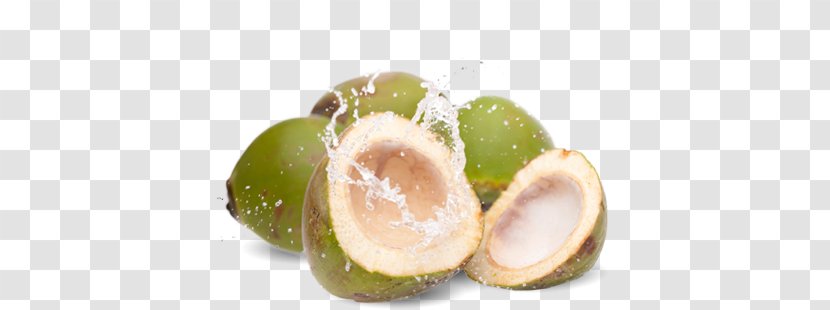 Coconut Water Sports & Energy Drinks Milk Oil Transparent PNG