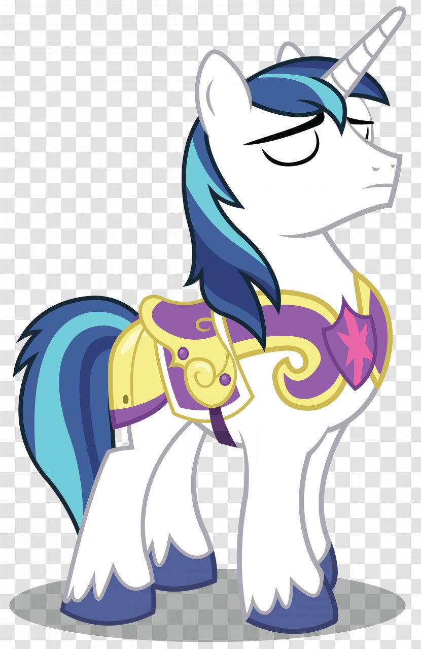 Princess Cadance Shining Armor Twilight Sparkle Pony Rainbow Dash - Silhouette - The Sleeping Unicorn Transparent PNG