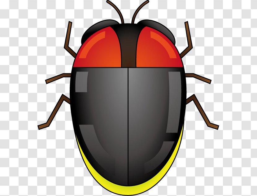 Beetle Clip Art Product Design - Insect - Firefly Transparent PNG