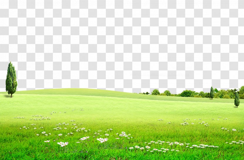 Background Green Meadow, Prairie, Flowers, Nature, Outdoor Tourism - Energy - Sky Transparent PNG