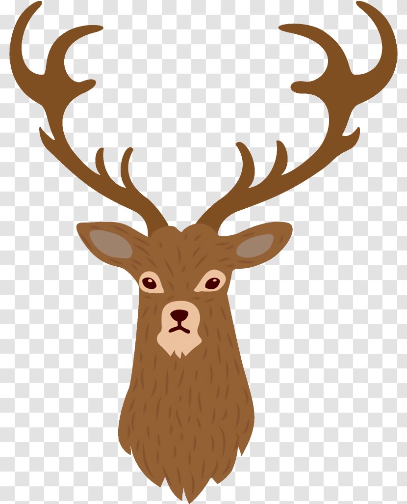 Reindeer Christmas - Horn - Moose Transparent PNG