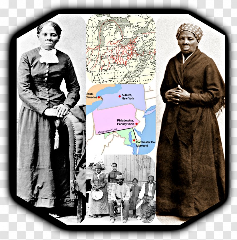 They Can't Pull Us Up: Harriet Tubman And Her Life Human Behavior Homo Sapiens Transparent PNG